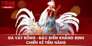 Gà Vảy Rồng Đặc Điểm Khẳng Định Chiến Kê Tiềm Năng